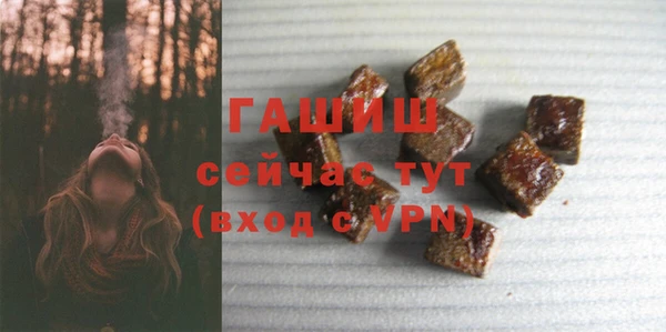гидра Верхний Тагил