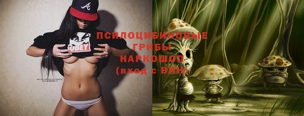 гидра Верхний Тагил