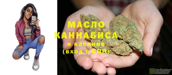 гидра Верхний Тагил