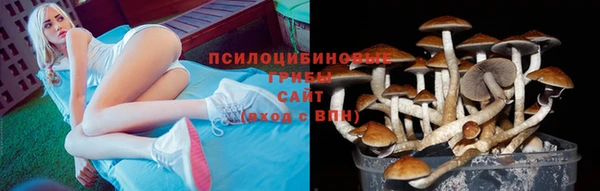гидра Верхний Тагил