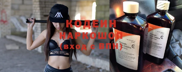 гидра Верхний Тагил