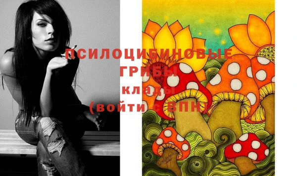 тгк Верея