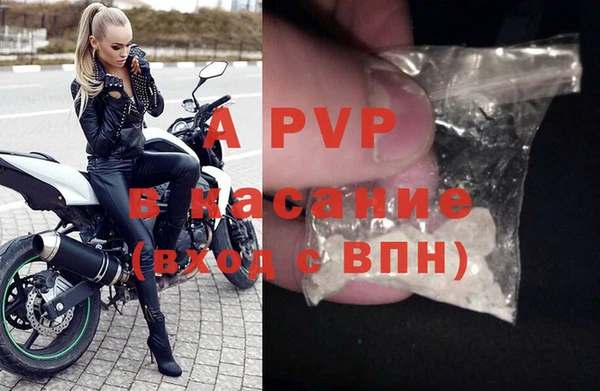 гидра Верхний Тагил