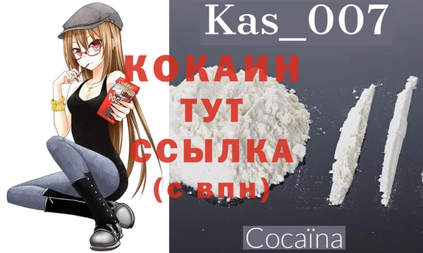 тгк Верея