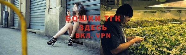гидра Верхний Тагил